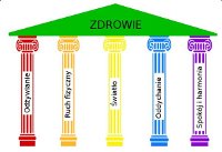 Q.Light klucz do zdrowia